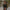 Hourglass High Waist Short But Lifter for Women